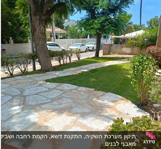 שביל אבן עם דשא ועצים בגינה